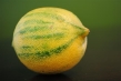 dsc_0980-small