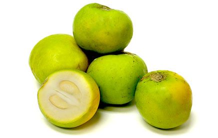 sapote