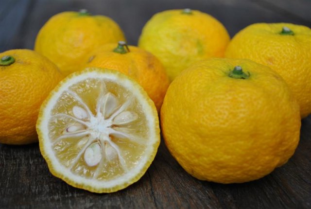 yuzu